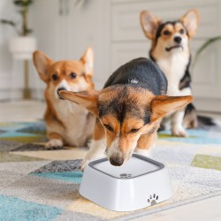 Neater Pet Bowl Mess Proof Pet Dog Cat Slow Water Feeder Bowl w/ Mat No-Spill